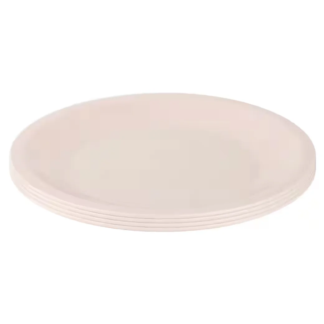 ENGELLAND Kunststoffteller 23,5 cm flach BPA-frei wiederverwendbar